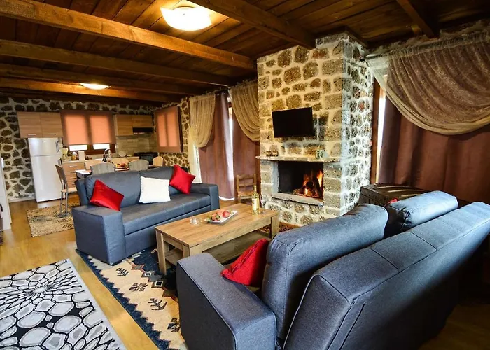 Katoikies Aiolos Chalet Kato Sinikia Trikalon